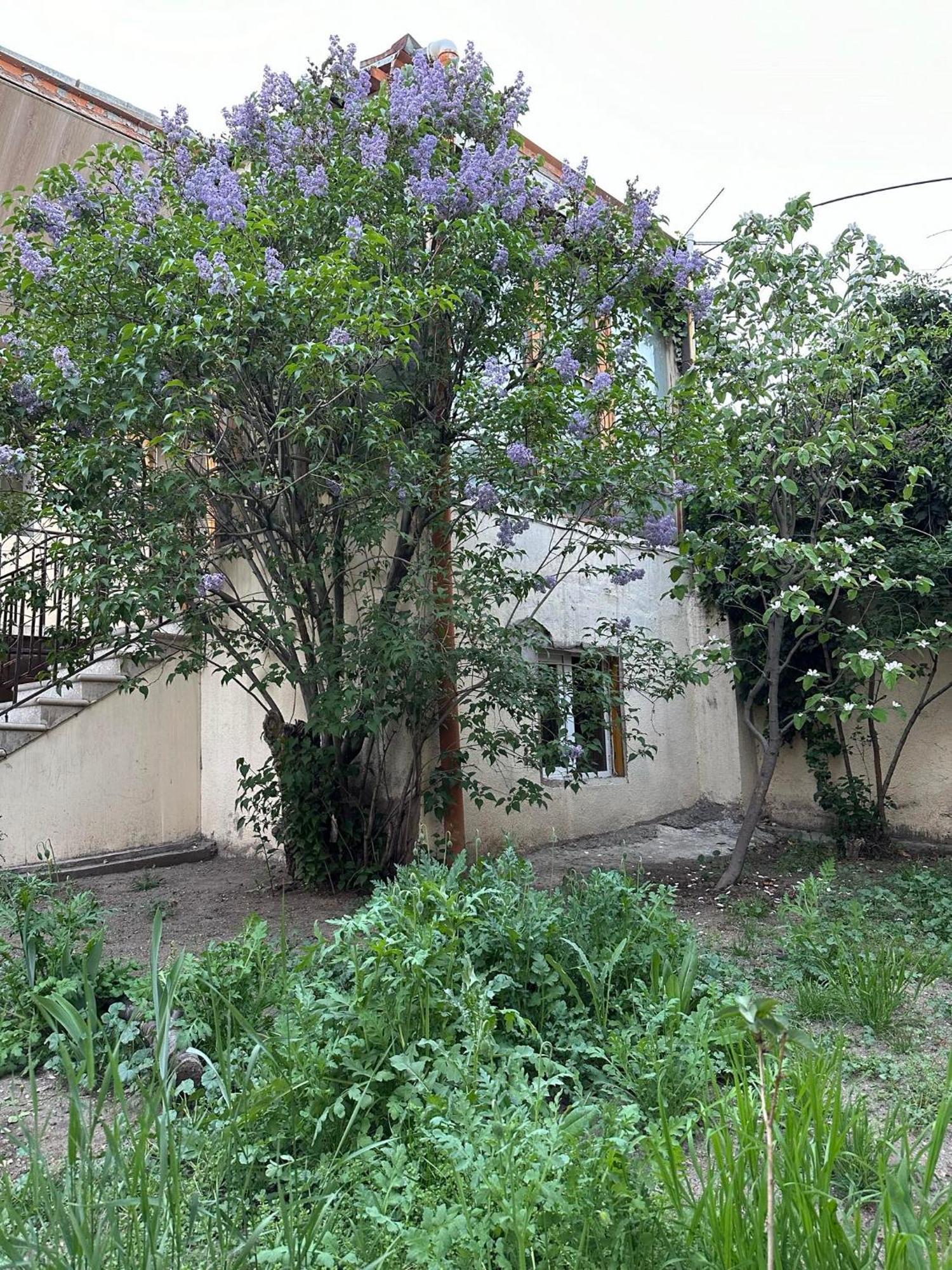 Popock City Center Ereván Exterior foto
